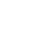 Exceptional Guest Experience